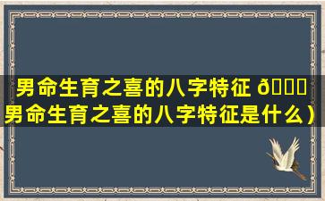 男命生育之喜的八字特征 🐞 （男命生育之喜的八字特征是什么）